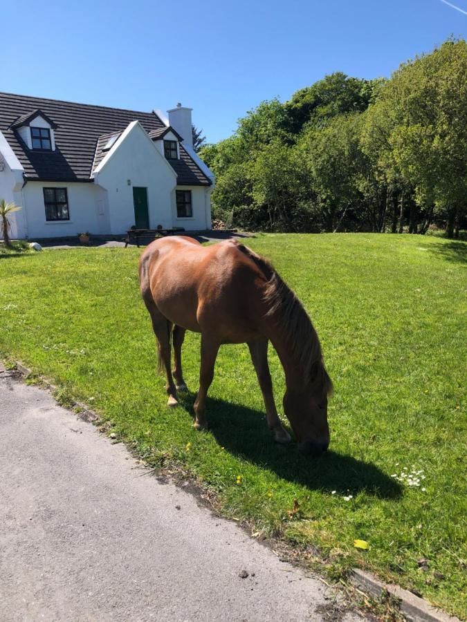 House With Sea Views Close To Beach With Wifi And Large Kitchen And Dining Ardnagreevagh Exterior foto